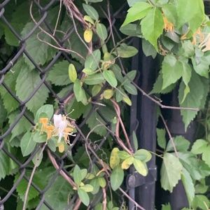 Meet your Posher, Ben